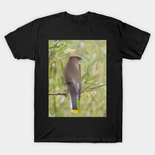 Cedar Waxwing in a tree T-Shirt